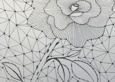 Lines-of-Roses